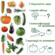 Набір магнітів Magdum