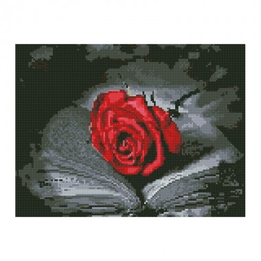 Алмазная мозаика "Роза на книжке" EJ1358, 40х30 см