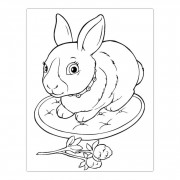 Велика книга розмальовок