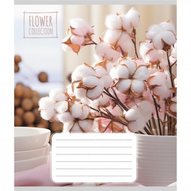 Тетрадь общая Тетрадь общая