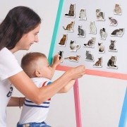 Набор магнитов Magdum