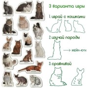 Набор магнитов Magdum