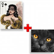 Набір картин за номерами 2 в 1 Ідейка