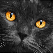 Набір картин за номерами 2 в 1 Ідейка