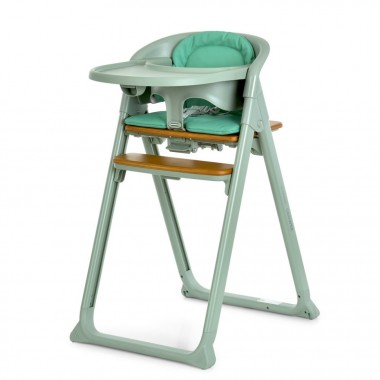 Детский стульчик для кормления 4 в 1 GROWEE ME 1222 Sage Green Детский стульчик для кормления 4 в 1 GROWEE ME 1222 Sage Green