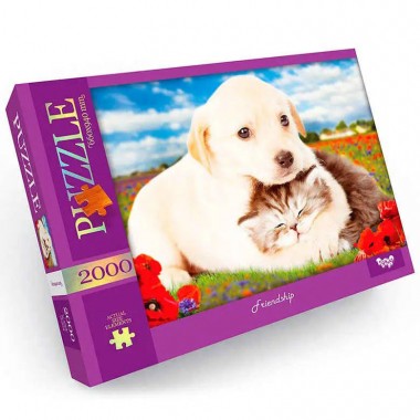 Пазл классический Danko Toys C2000-01-01-10, 2000 эл