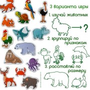 Набор магнитов Magdum