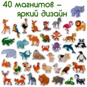 Набор магнитов Magdum
