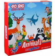 Набор магнитов Magdum