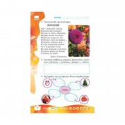 Учебная книга НУШ