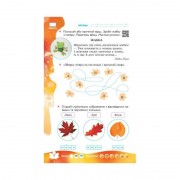 Учебная книга НУШ