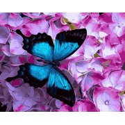 Картина по номерам Brushme Бабочка на цветах GX21627
