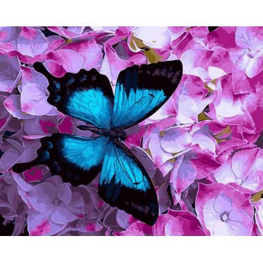 Картина по номерам Brushme Бабочка на цветах GX21627