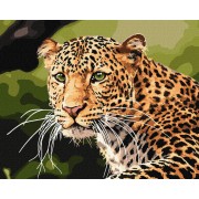 Картина по номерам Зеленоглазый леопард Идейка KHO4322 40х50 см