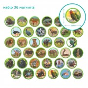 Детский магнитный набор Монтессори