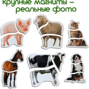 Магнитные пазлы Magdum