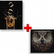 Набір картин за номерами 2 в 1 Ідейка