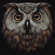 Набір картин за номерами 2 в 1 Ідейка