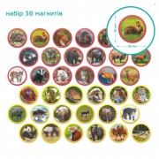 Детский магнитный набор Монтессори