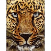 Алмазна мозаїка без підрамника