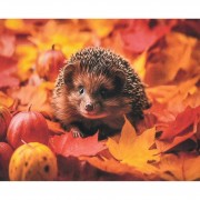 Алмазна мозаїка