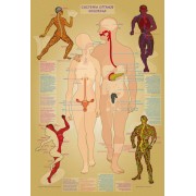 Настільна навчальна гра з багаторазовими наклейками