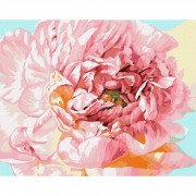 Набор картин по номерам 2 в 1