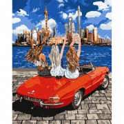 Набір картин за номерами 2 в 1