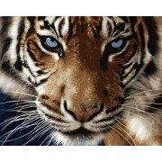 Картина по номерам. Brushme Взгляд тигра GX8767, 40х50 см
