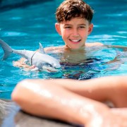 Інтерактивна іграшка