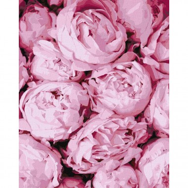 Картина по номерам Розовая нежность Идейка KHO2998 40х50 см