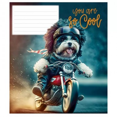 Тетрадь ученическая "You are so cool" 018-3241K-1 в клетку на 18 листов