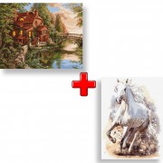 Набор картин по номерам 2 в 1