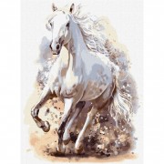 Набор картин по номерам 2 в 1