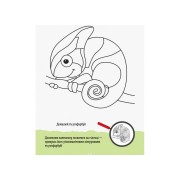 Развивающая тетрадь ДжоIQ