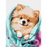 Набір картин за номерами 2 в 1