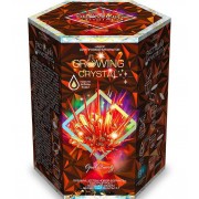 Набор для опытов Danko Toys Griwing Crystal GRK-01