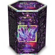Набор для опытов Danko Toys Griwing Crystal GRK-01