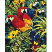 Картина по номерам Идейка Животные, птицы Разноцветные попугаи 40х50 см KHO4028