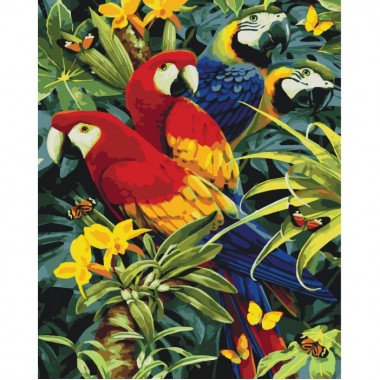 Картина по номерам Идейка Животные, птицы Разноцветные попугаи 40х50 см KHO4028
