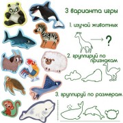 Набор магнитов Magdum