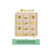 Развивающая тетрадь ДжоIQ