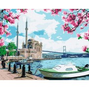 Картина по номерам. Яркий Стамбул Идейка KHO2757 40х50 см