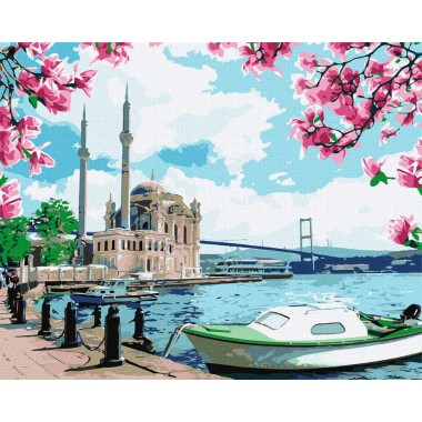Картина по номерам. Яркий Стамбул Идейка KHO2757 40х50 см