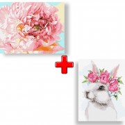 Набор картин по номерам 2 в 1