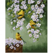 Картина по номерам Идейка Животные, птицы Зяблики на яблоне 40х50см KHO2427