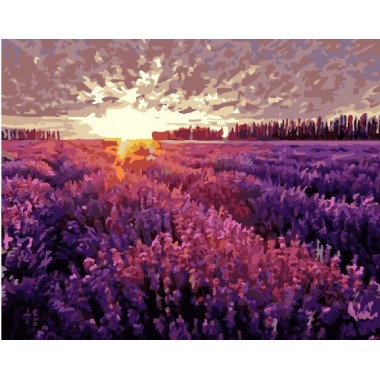 Картина по номерам Brushme Лавандовое поле на закате GX6812