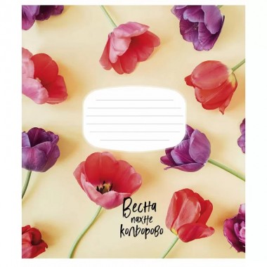 Тетрадь ученическая The colors of happiness 012-3230L-4 в линию, 12 листов