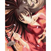 Набір картин за номерами 2 в 1 Ідейка