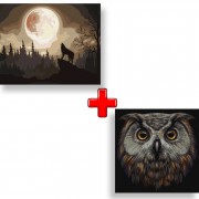 Набір картин за номерами 2 в 1 Ідейка